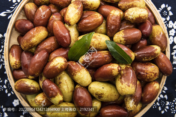 新鮮馬牙棗