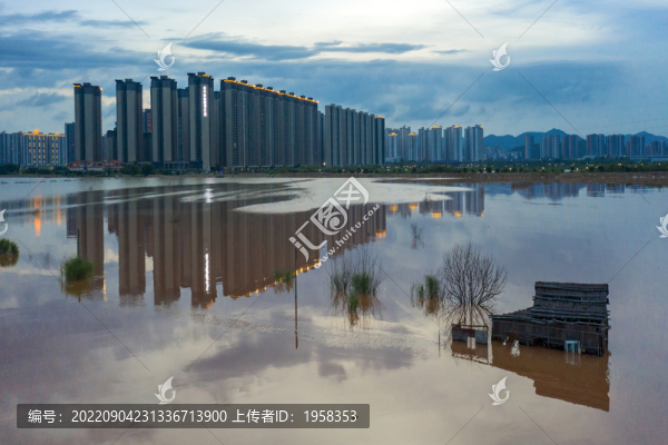 中山市濕地風(fēng)貌