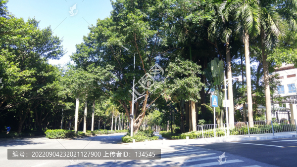 別墅區(qū)建筑和道路