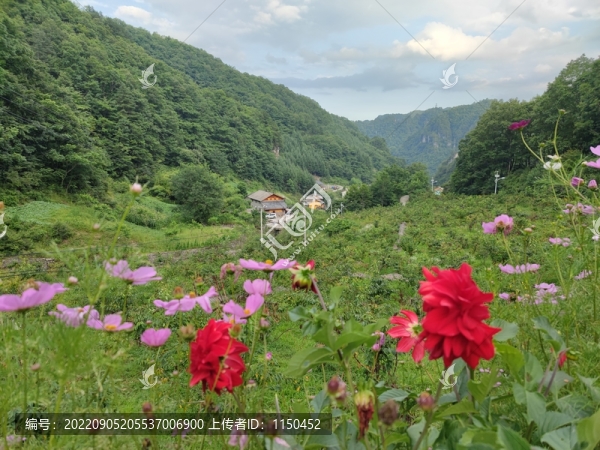 神農(nóng)架桃花谷