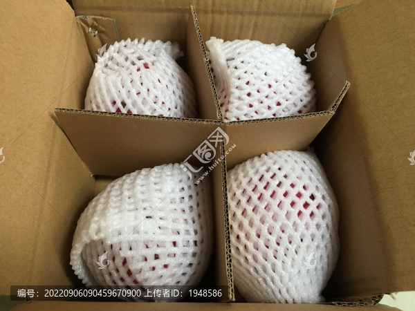 打包火龍果