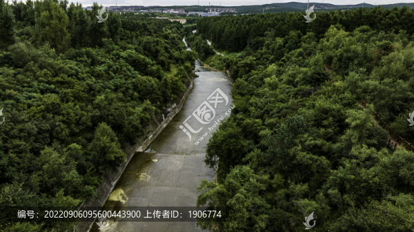 夏日的長春凈月潭國家森林公園