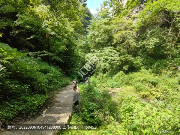 秘境神農(nóng)架畫(huà)廊谷