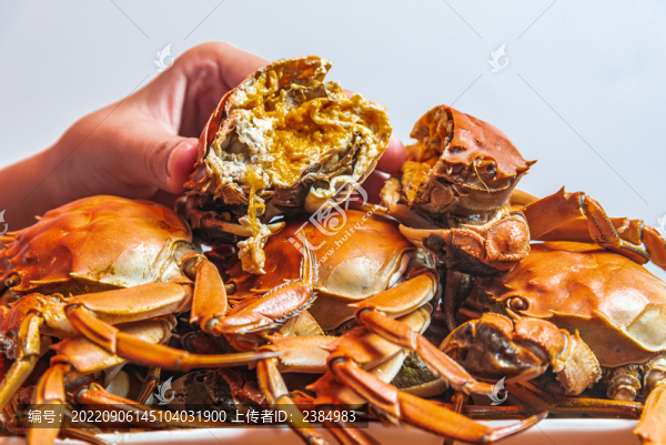 餐桌上熟的清蒸大閘蟹