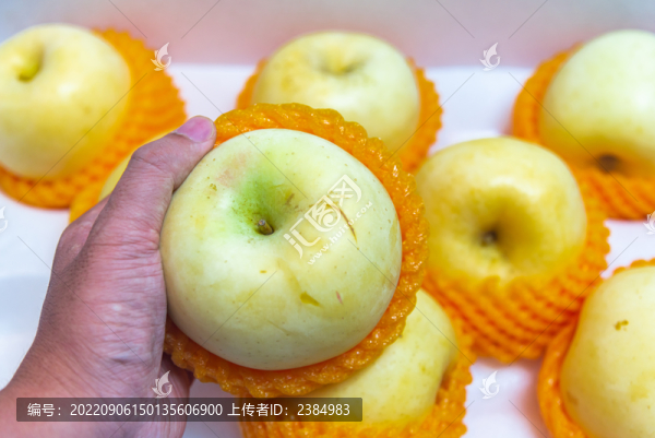 中秋節(jié)新鮮上市的奶油富士