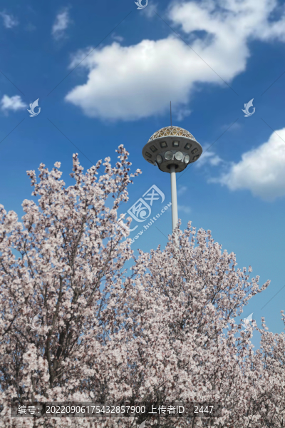 泰山風(fēng)光