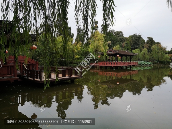 公園水景