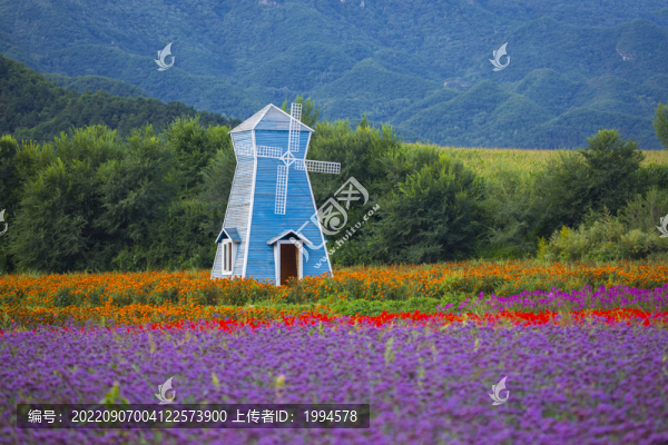 薰衣草風(fēng)車