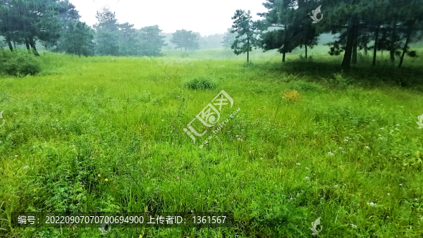 細(xì)雨綿綿
