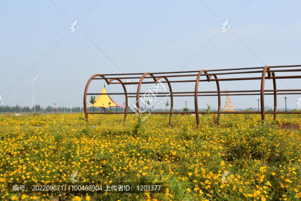 菊花園