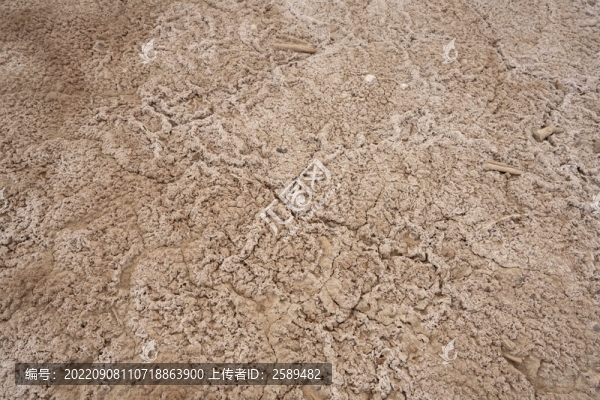 齊蘭古城