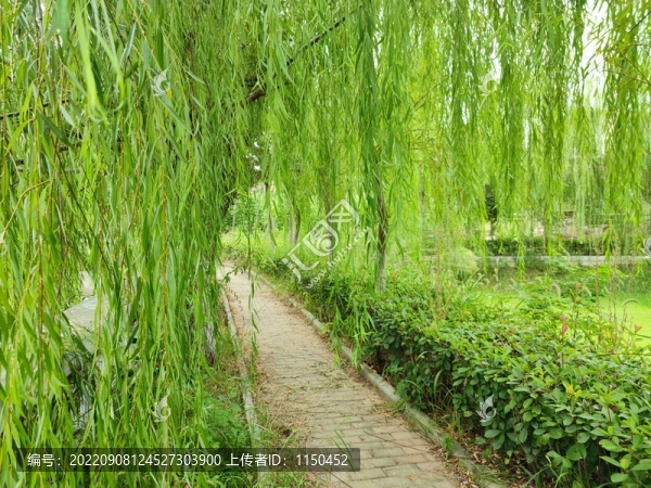 秋日平原鄉(xiāng)村