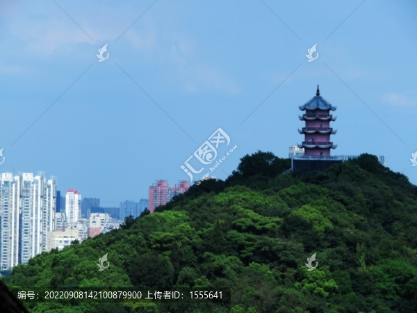 無(wú)錫錫山龍光塔