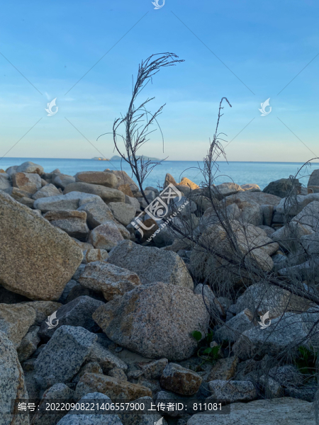 大海礁石海灘