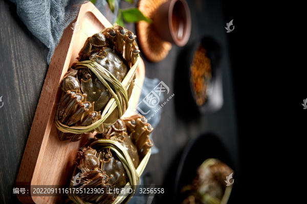 陽(yáng)澄湖大閘蟹