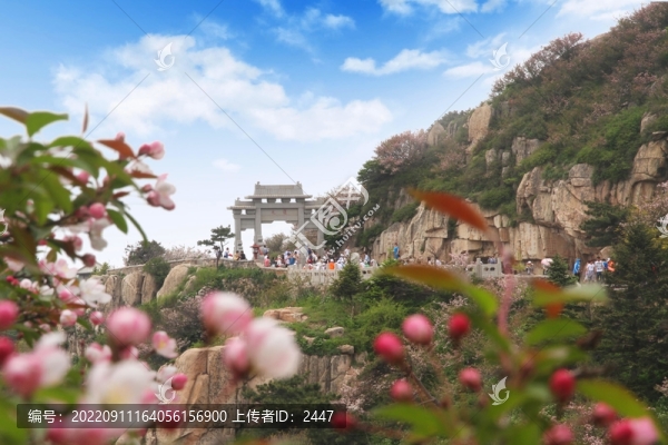 中華泰山