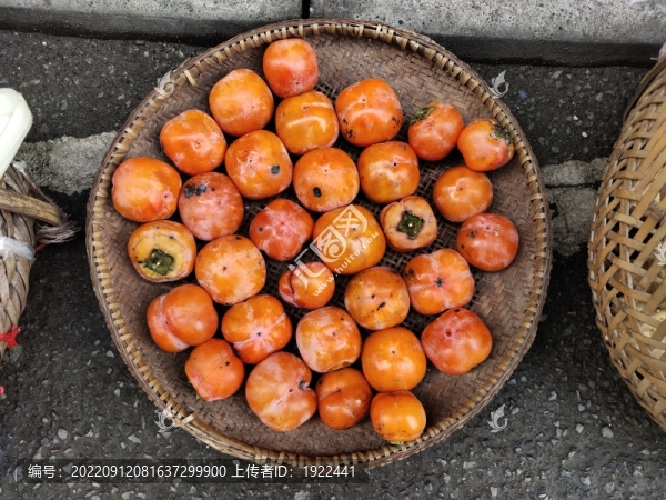紅柿子
