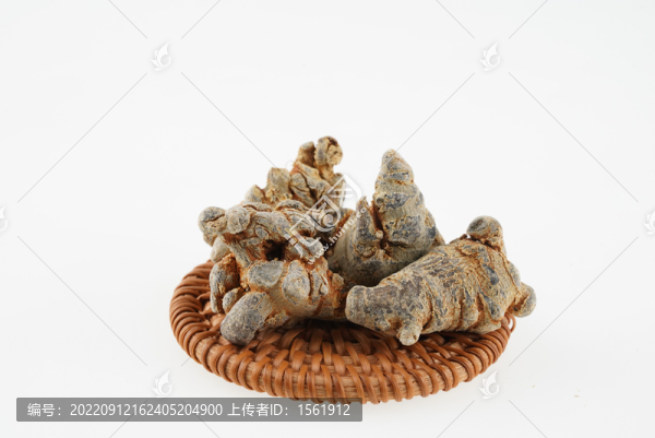 三七