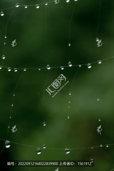 雨珠