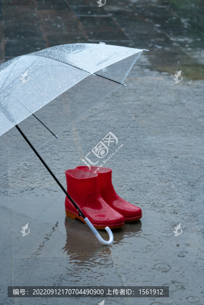 雨水雨天降雨