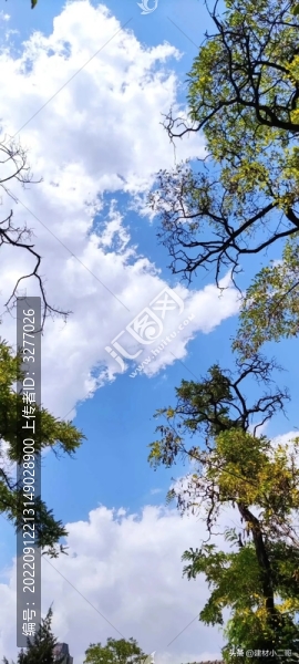 天空?qǐng)D片