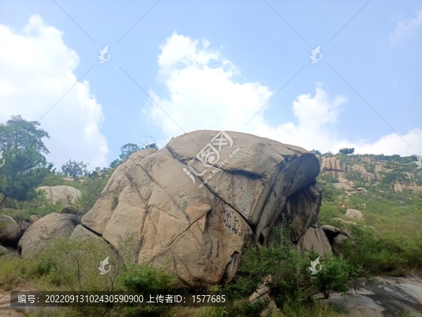 山