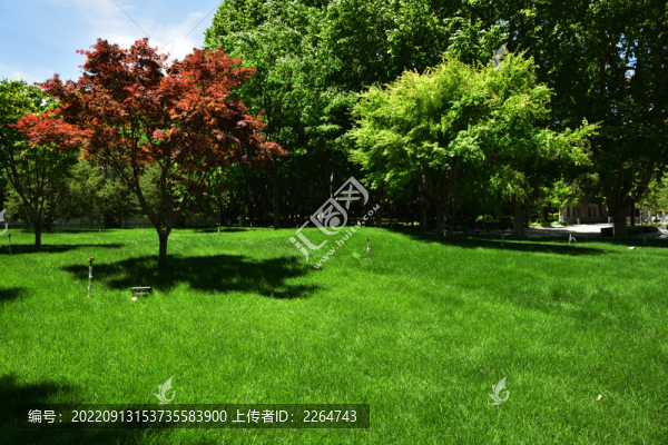 河北省石家莊華北軍區(qū)烈士陵園