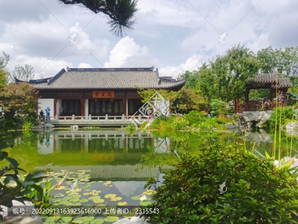 上海申園