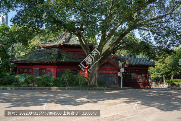 重慶渝中區(qū)鵝嶺公園