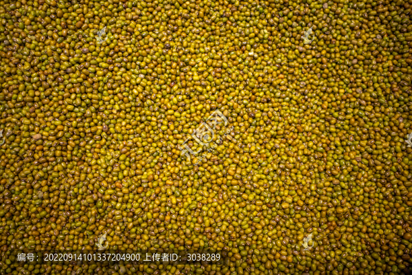 綠豆
