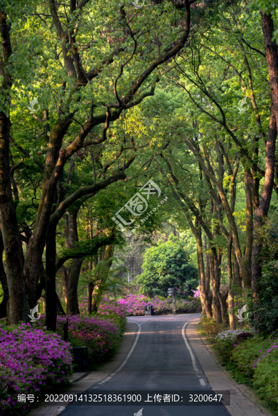 武漢東湖磨山景區(qū)