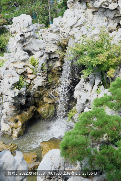 上海申園