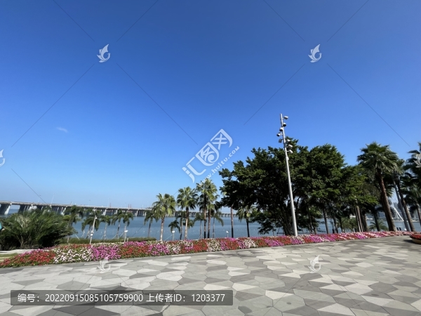 濱海公園