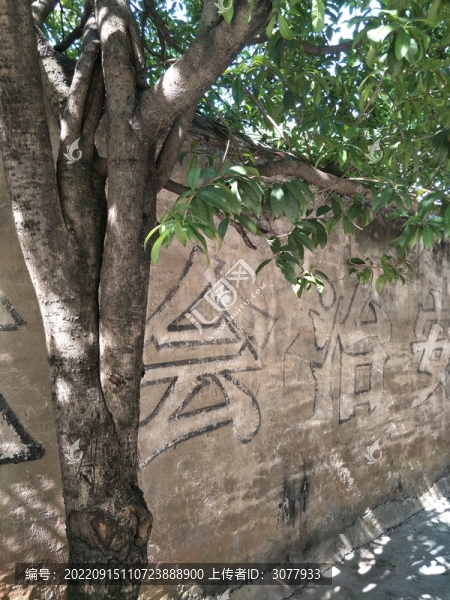古鎮(zhèn)圍墻