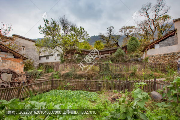塔川秋色