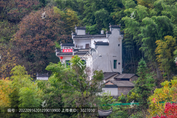 塔川秋色