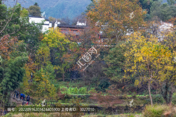 塔川秋色