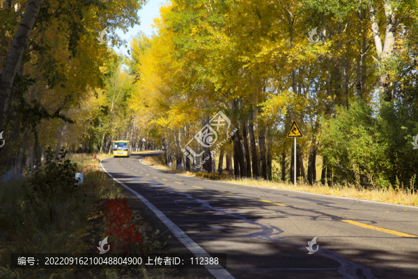 航拍五花秋色秋天黃樹葉風(fēng)景