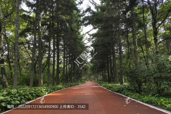 林間甬路