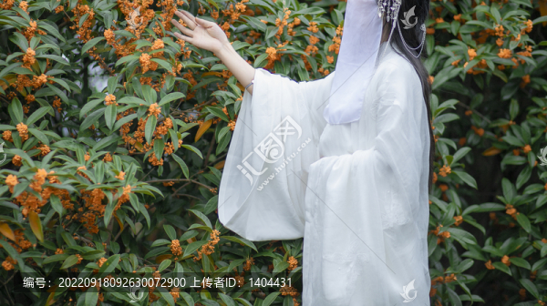 古風(fēng)女子