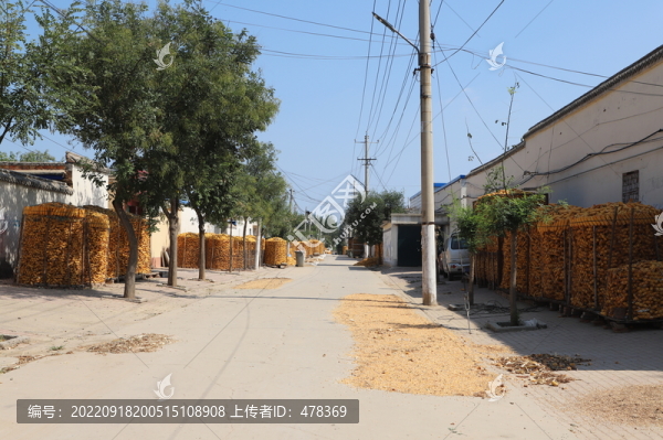 鄉(xiāng)村風光