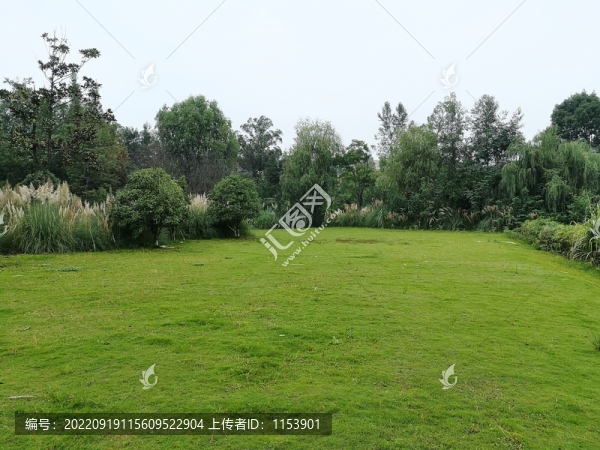 公園綠地