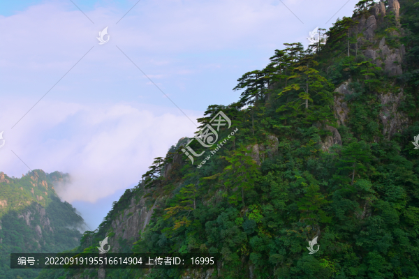 黃山