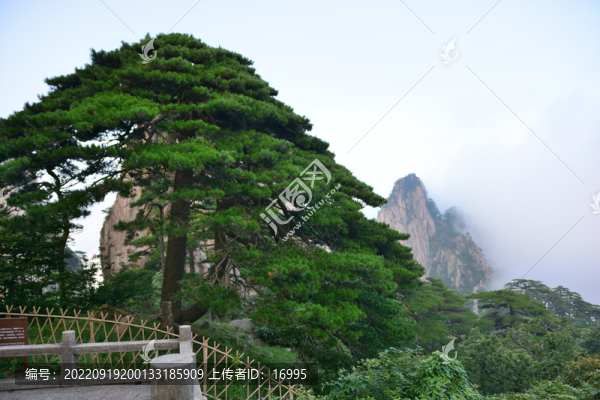 安徽黃山風(fēng)景