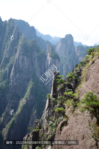 黃山