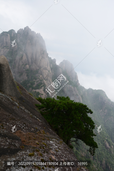 黃山