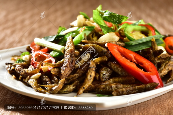 山坑魚(yú)
