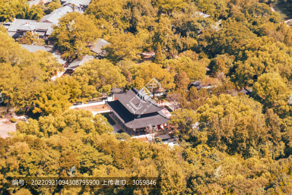 秋葉金黃武夷山