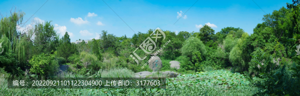 山東交通學(xué)院