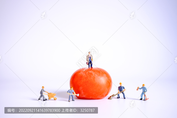 微縮創(chuàng)意柿子